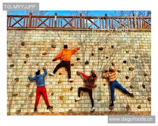 杭州攀岩队协作分析:团队配合对攀岩成绩的影响研究